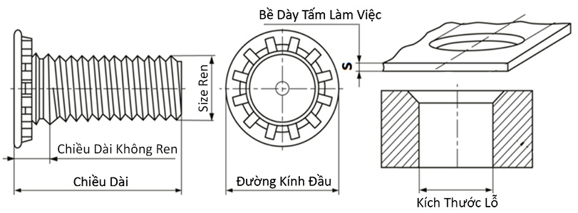 Bản vẽ kỹ thuật Bulong Ép Inox 304 M5x10 (FHS-M5-10)