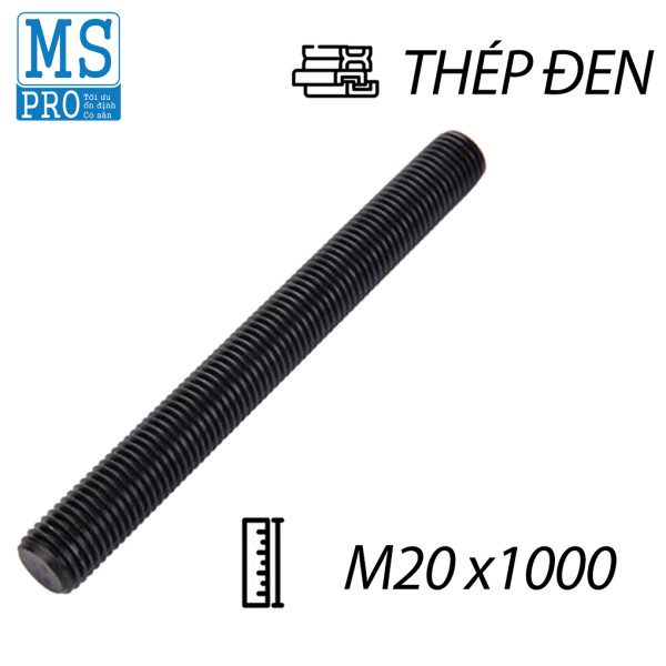 Ty Ren Thép Đen 8.8 M20x1000