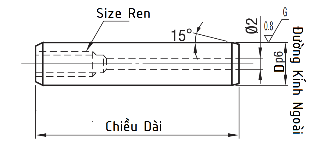 Bản vẽ kỹ thuật Chốt Định Vị Ren Trong Inox 420 D12x30 THSS12-30 (p6)