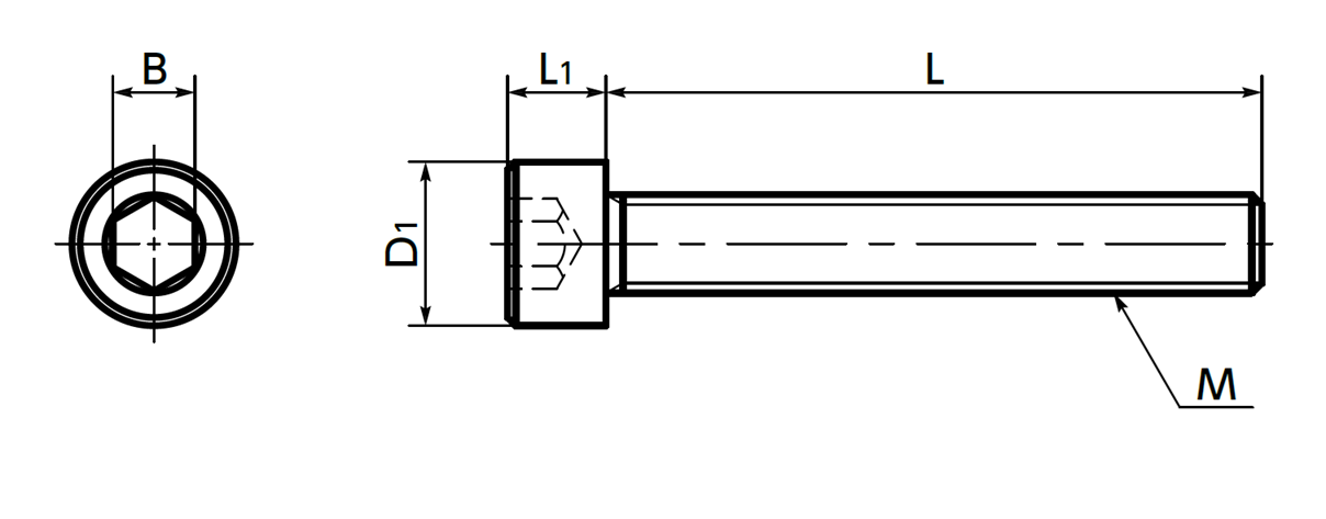 Bản vẽ kỹ thuật Lục Giác Chìm Ren Suốt Inox 304 M8x100 NBK Dòng SNSS-FT