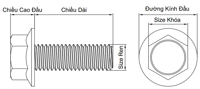 Bản vẽ kỹ thuật Bulong Đầu Bông Thép Mạ Kẽm Trắng Cr3+ 8.8 DIN6921 M10x20 (Không Khía)