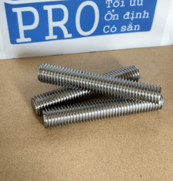 Guzong Inox 304 M12x70