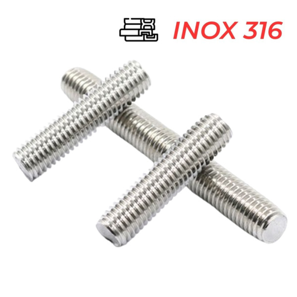 Guzong Inox 316 M24x485