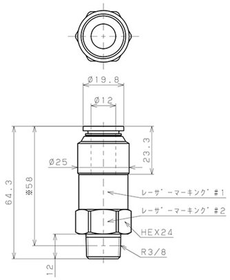 Bản vẽ kỹ thuật Van Khí Nén Một Chiều  Pisco CVC12-03A