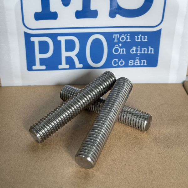 Guzong Inox 316 M12x65