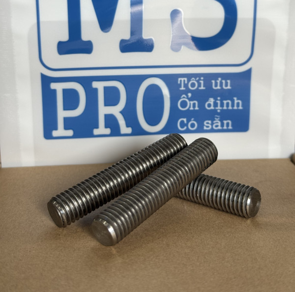 Guzong Inox 304 M12x60