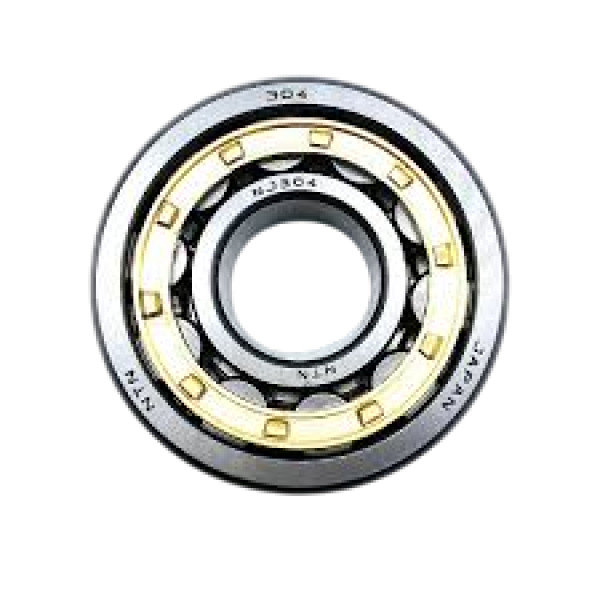 Vòng Bi Đũa Trụ 1 Dãy 20x52x12 mm NTN NJ304EAT2X