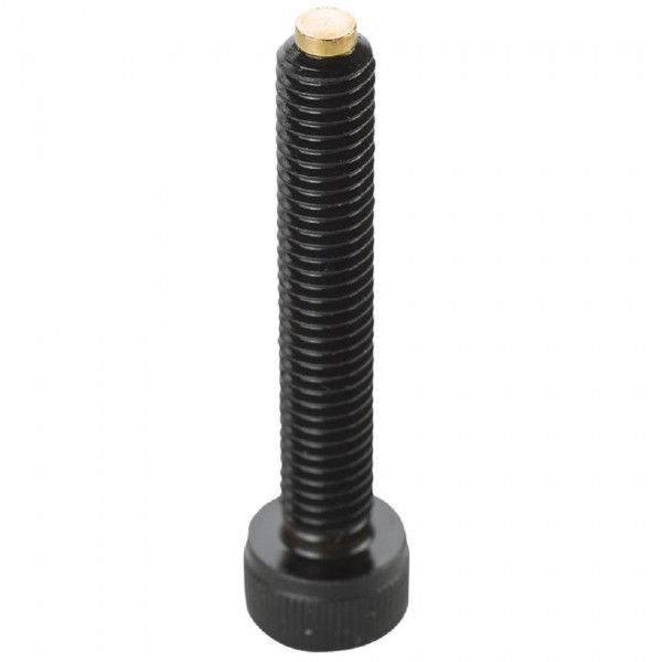 Hex Socket Set Screws Head Cap Screws - (Brass Pad) CBCPS8-20