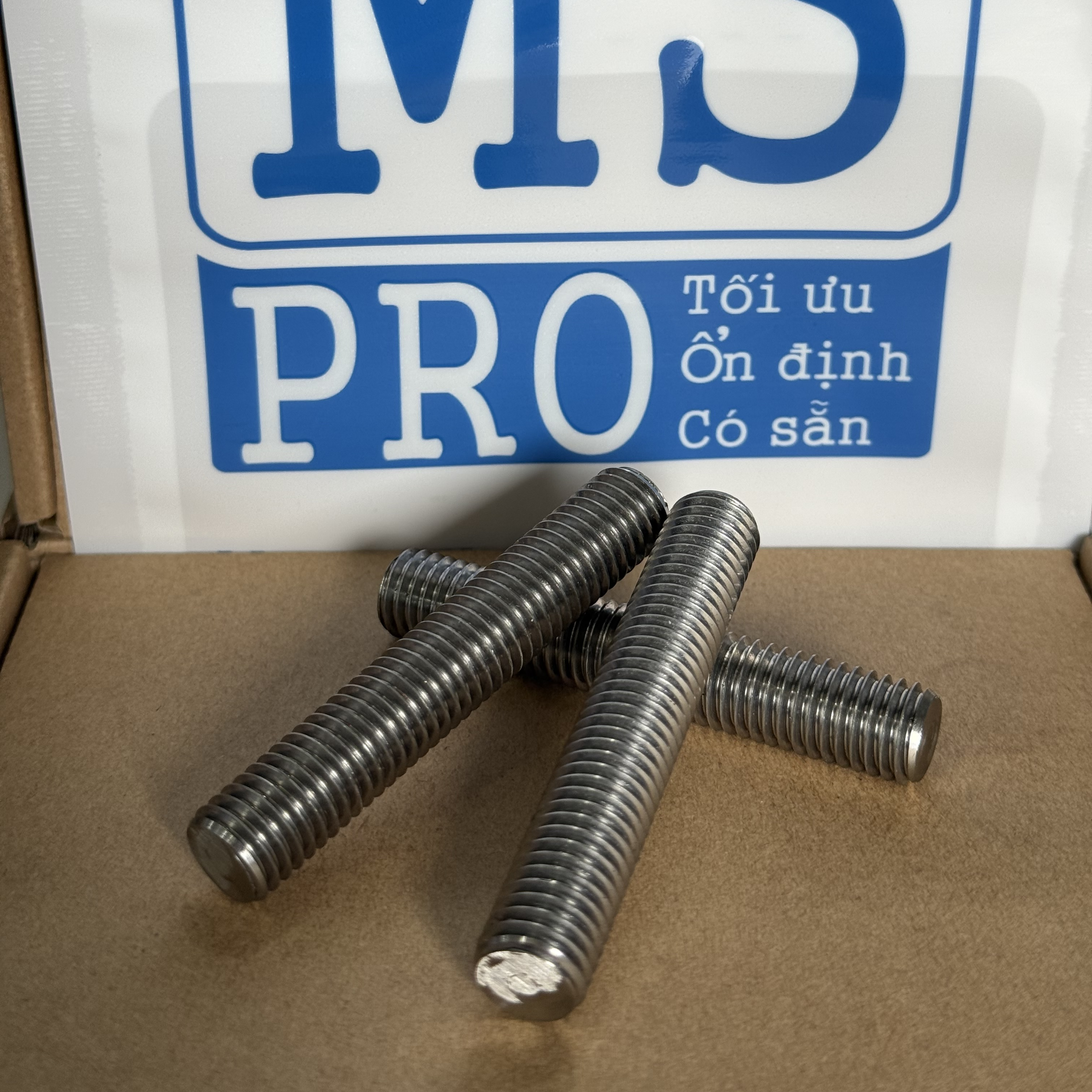 Guzong Inox 316 M12x70