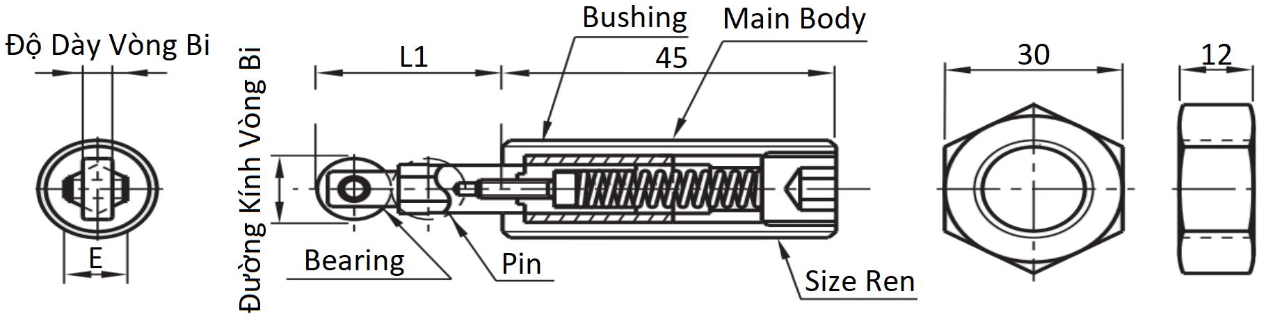 Bản vẽ kỹ thuật Roller Plungers Hex Screw Heavy Load M20 RBSJ20