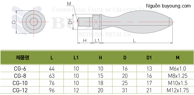 Bản vẽ kỹ thuật Tay Cầm Buyoung M6 CG-6