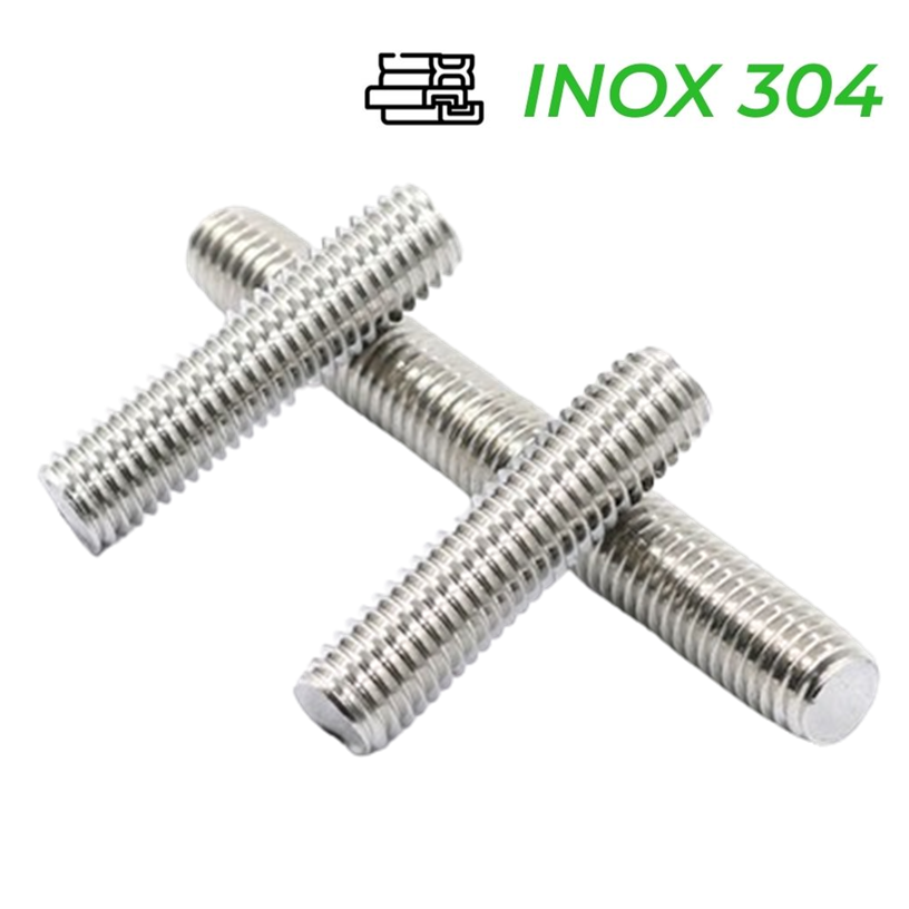 Guzong Inox 304 M24x95