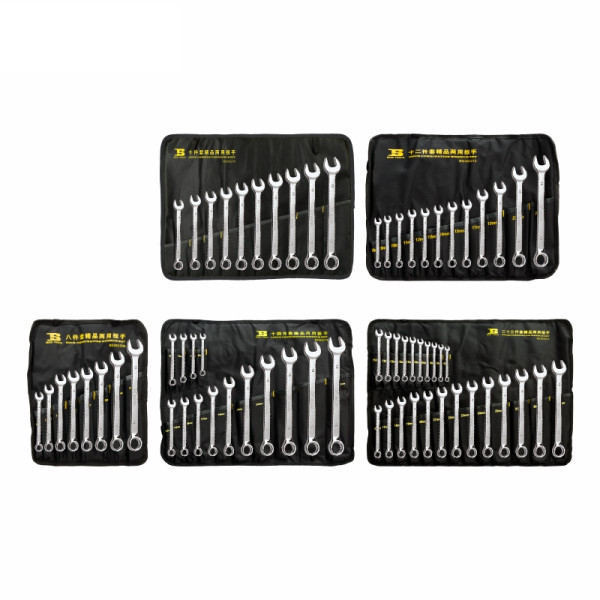 Bộ Cờ Lê Vòng Miệng 10 Chi Tiết 8-22 mm Bosi BS392210