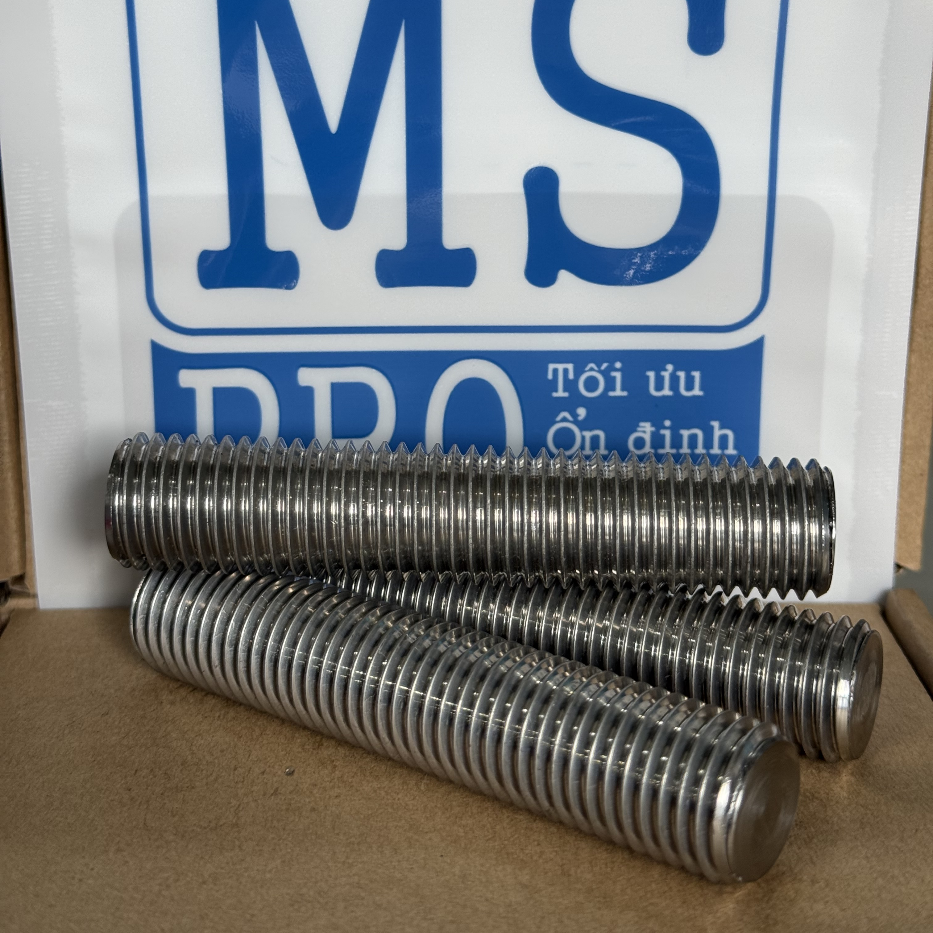 Guzong Inox 316 M20x100