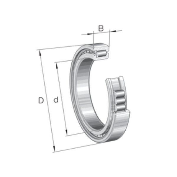 Vòng Bi Đũa Trụ 1 Dãy 25x52x18 mm INA SL182205-A-XL