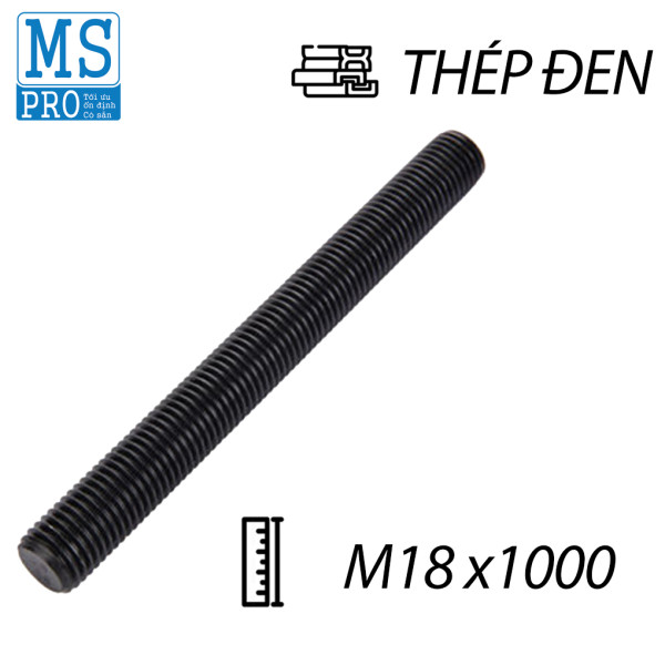 Ty Ren Thép Đen 8.8 M18x1000