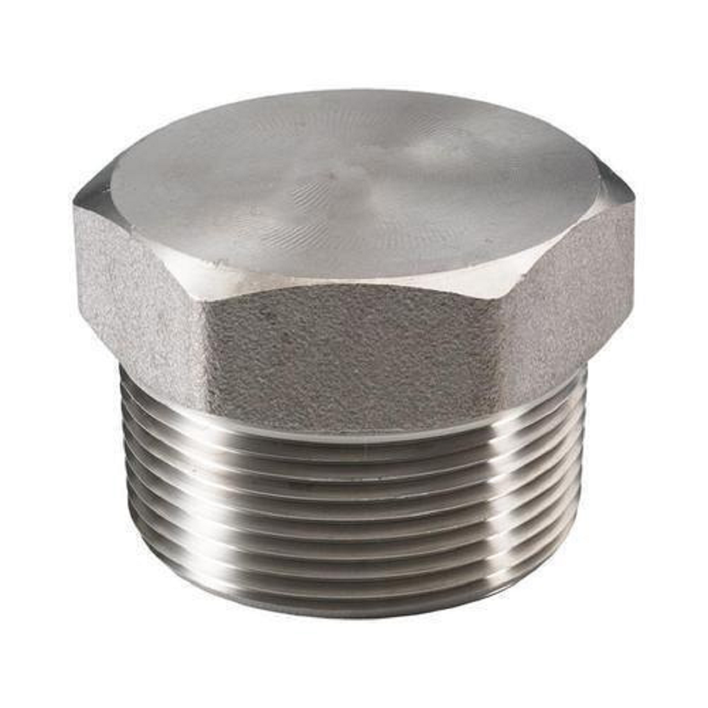 Nút Bịt Đầu Lục Giác NPT A182-F304/304L DN50 (2)