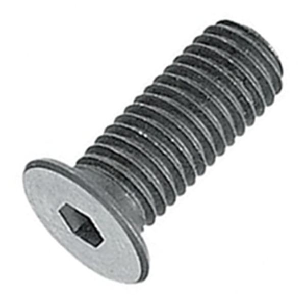 Lục Giác Chìm Đầu Mỏng Thép Đen SCM435 M6x10 (CBSS6-10)