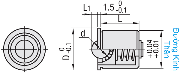 Bản vẽ kỹ thuật Con Lăn Bi Loại Đẩy Bi Không Ren Inox 304 D22 BCHP22