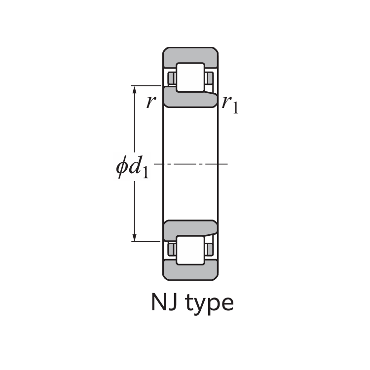 Bản vẽ kỹ thuật Vòng Bi Đũa Trụ 1 Dãy NTN NJ305EAT2X