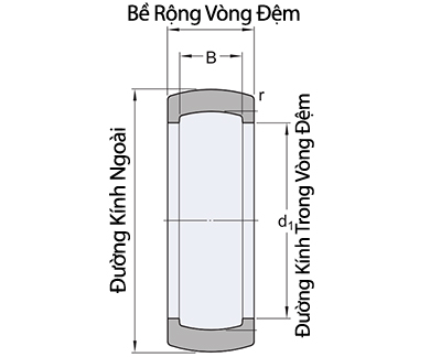 Bản vẽ kỹ thuật Vòng  Đệm Cao Su SKF RIS 206 A