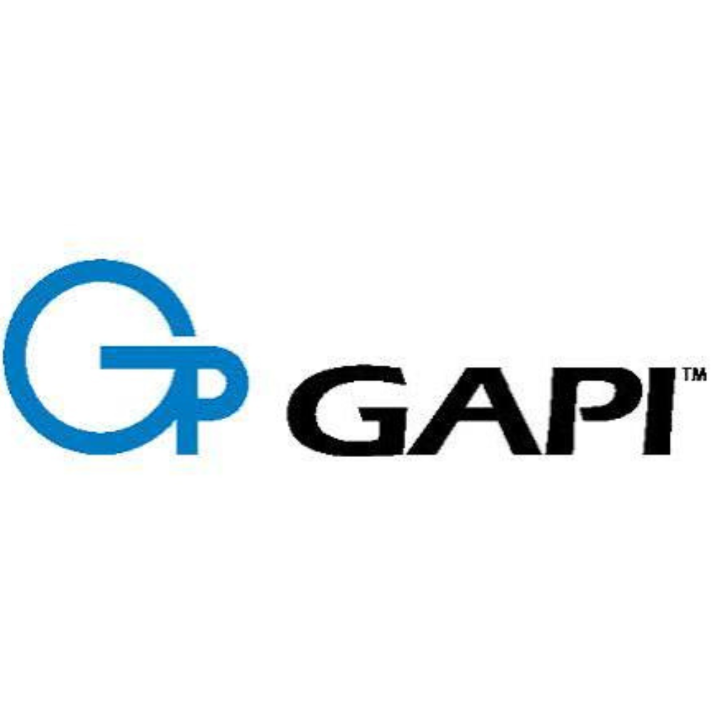 Logo GAPI